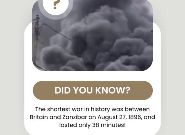 Beige Minimalist Did You Know Interesting Fact Instagram Post_20251029_101435_0000