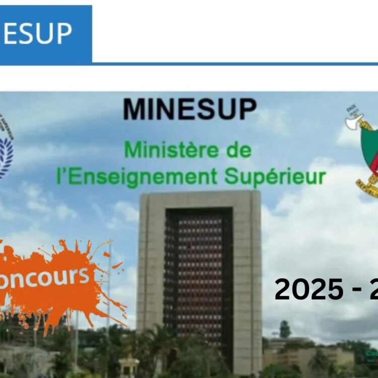 2025 - 2026_20260219_072410_0000~2